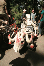Steer skeleton cart