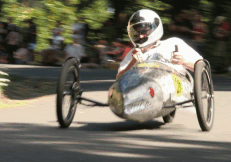Steel skinned, fish cart