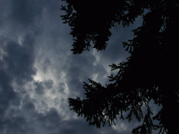 0727_041.jpg