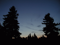 0731_019.jpg