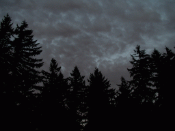 0917_001.jpg