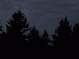 0917_031.jpg
