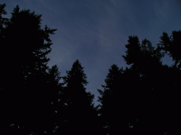 0924_066.jpg