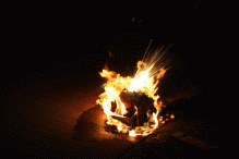 burning_house_4009.jpg